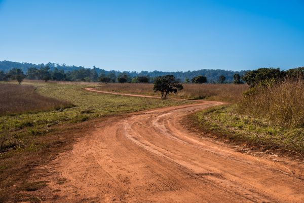 Dirt Driveway Repair in Hickory