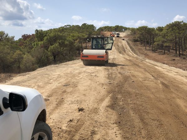 Cost of Driveway Grading in Hickory
