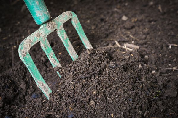 Topsoil Spreading in Hickory