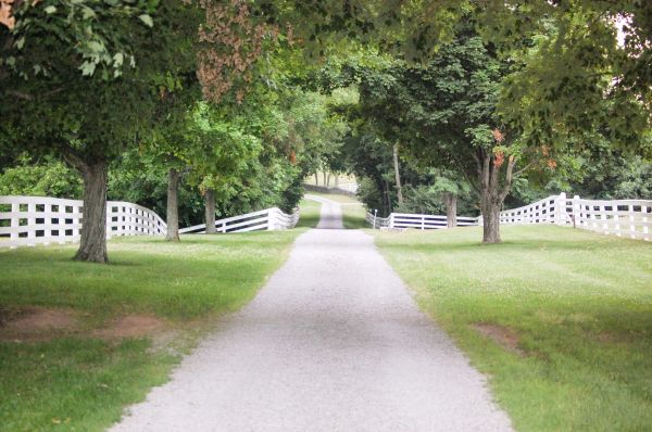 Cost of Road Installation in Hickory