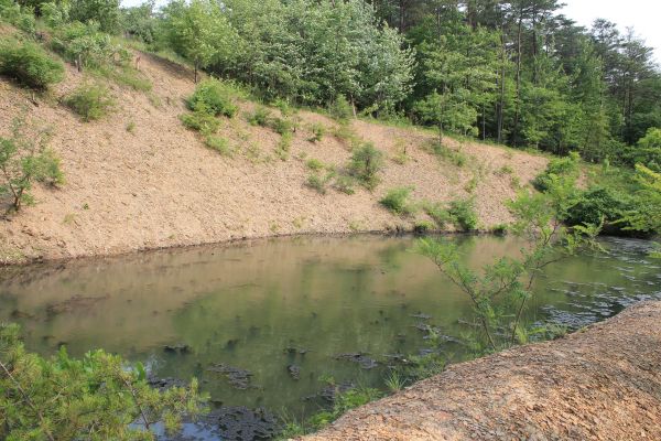 Pond Erosion Repair in Hickory