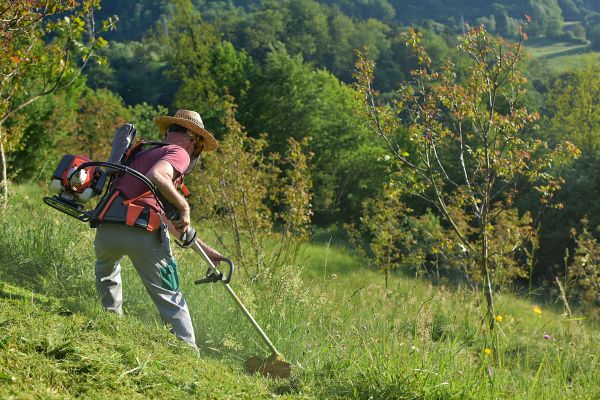 Cost of Slope Trimming in Hickory